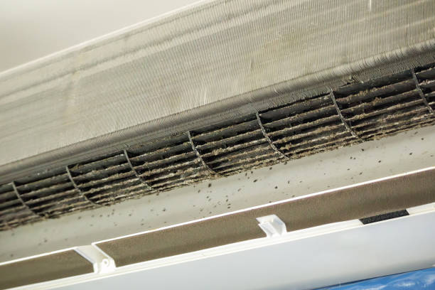Best Best Air Duct Cleaning Company  in Washington Park, IL